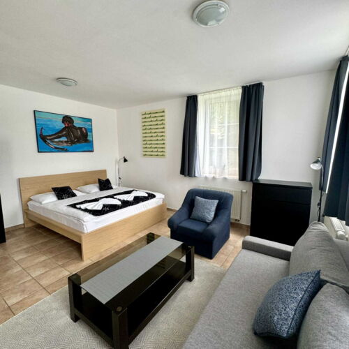 Apartament cu duș cu chicinetă proprie cu 1 camera pentru 2 pers. (se poate solicita pat suplimentar)