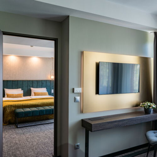 Deluxe Grand 1-Room Suite for 2 Persons