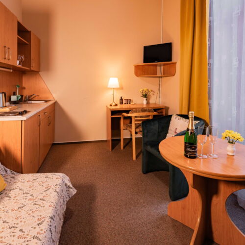 Pokoj se sprchou s vlastní kuchyňkou pro 1 os. (s možností přistýlky)