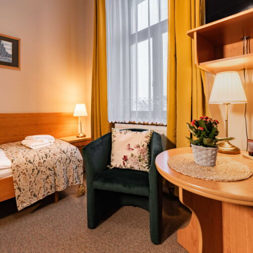 Pokoj se sprchou s vlastní kuchyňkou pro 1 os. (s možností přistýlky)