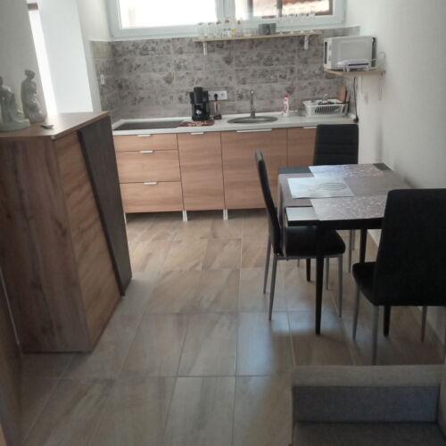 Apartament la parter cu aer condiționat cu 1 camera pentru 2 pers.