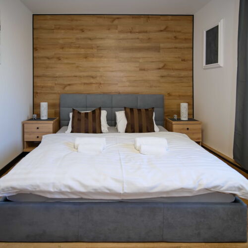 Deluxe Apartman se sprchou pro 3 os. s 1 ložnicí