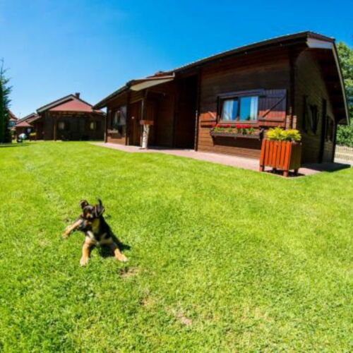 Apartament 4-osobowy z 2 pomieszczeniami sypialnianymi