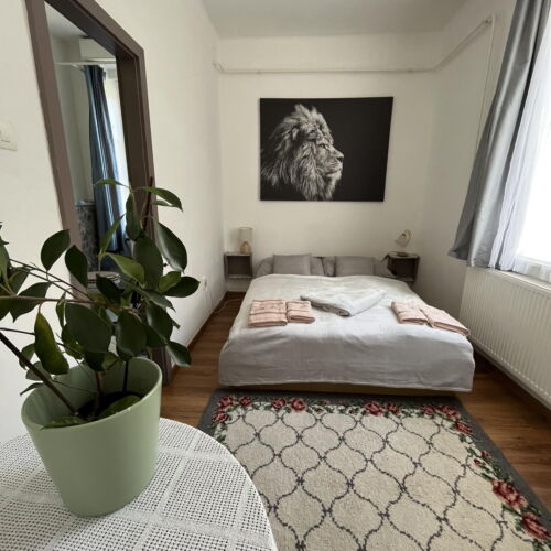 Camera dubla classic cu vedere spre pădure