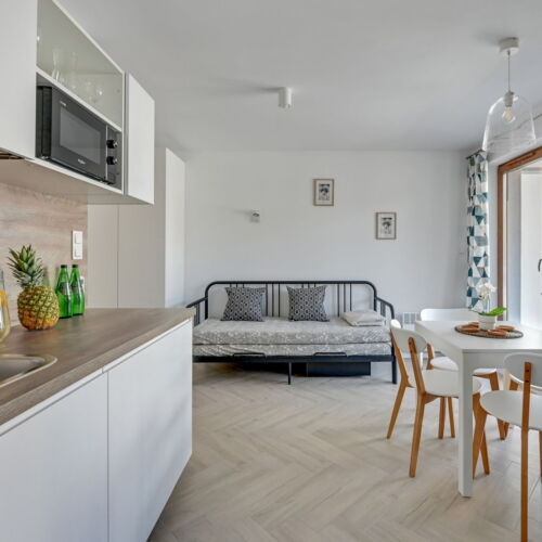 Apartament 4-osobowy z 1 pomieszczeniem sypialnianym