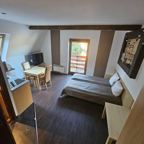 Apartament 2-osobowy z 1 pomieszczeniem sypialnianym