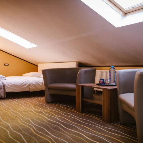 Camera dubla standard la mansardă