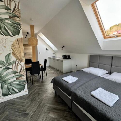 Apartament 2-osobowy z 1 pomieszczeniem sypialnianym