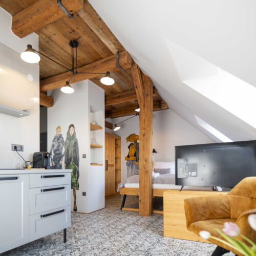 Apartman se sprchou s vlastní kuchyňkou s manželskou postelí s 1 ložnicí (s možností přistýlky)