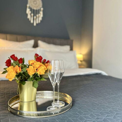 Apartament studio cu terasă cu 1 camera pentru 4 pers. (se poate solicita pat suplimentar)