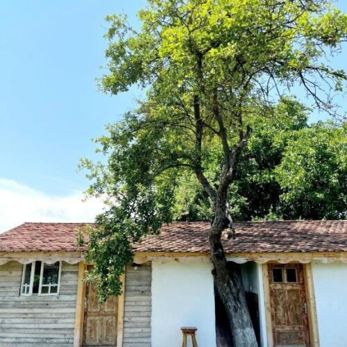 Camera dubla economy