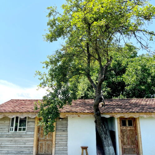 Camera dubla economy