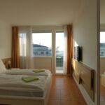 S pogledom na jezero Klimatiziran soba sa francuskim krevetom (za 2 osoba(e))
