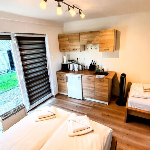 Ground Floor Executive 1-Room Apartment for 2 Persons (extra bed available)