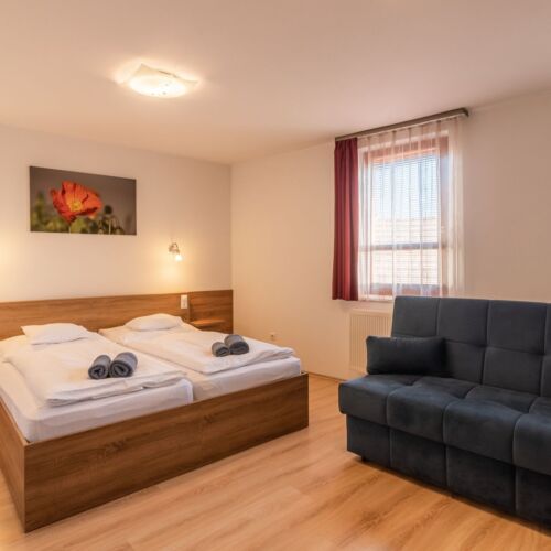 Classic Twin Room (extra bed available)