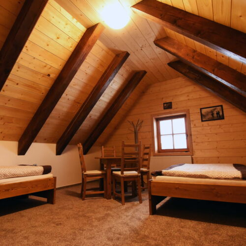 Pokoj se sprchou  pro 3 os.