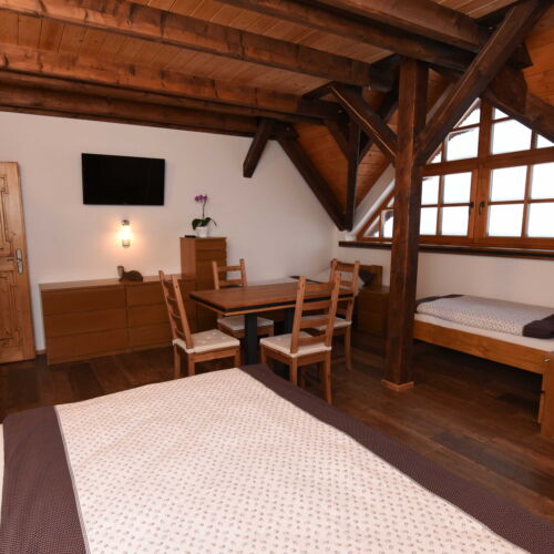 Pokoj se sprchou  pro 4 os.