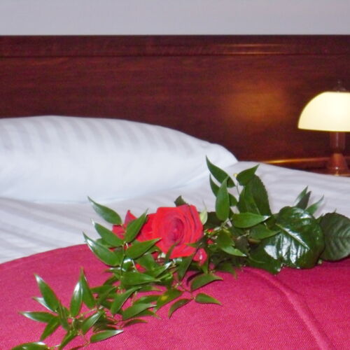 Pokój 2-osobowy King Komfort