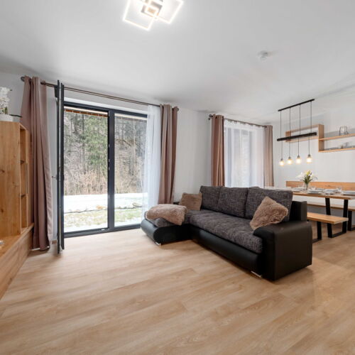 1-Room Apartment for 4 Persons with Terrace (extra beds available)
