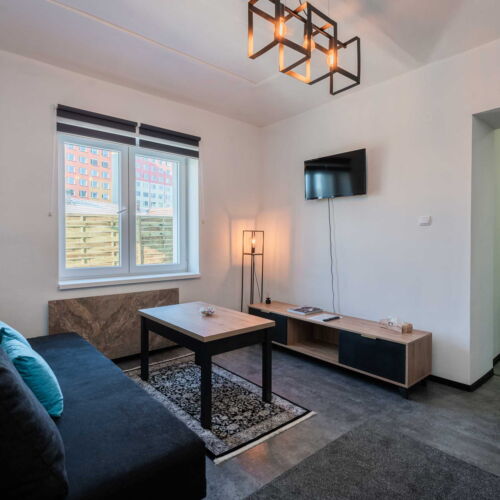 3-Room Apartment for 6 Persons with Shower and Kitchenette