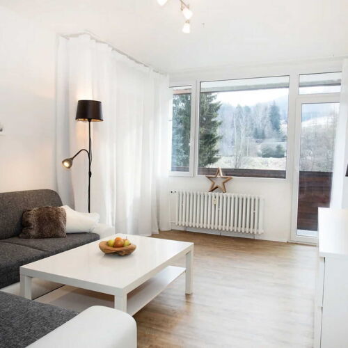 Apartman se sprchou s vlastní kuchyňkou pro 6 os. (s možností přistýlky)