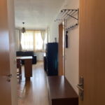 Deluxe 1-Room Apartment for 2 Persons with Kitchen