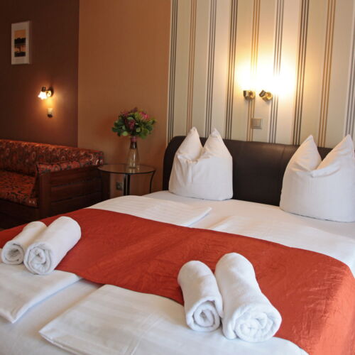 Double Room (extra bed available)