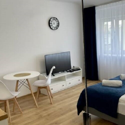 Apartament 2-osobowy z widokiem na miasto z 1 pomieszczeniem sypialnianym