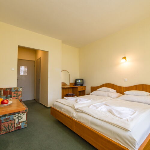 Pokój 2-osobowy Standard (możliwa dostawka)