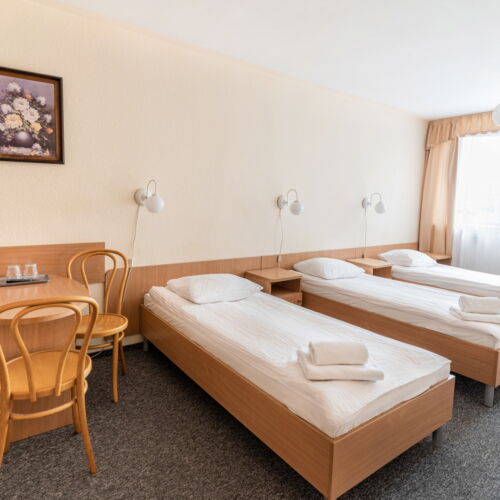 Economy Pokoj dormitory (sdílené bydlení) pro 3 os.