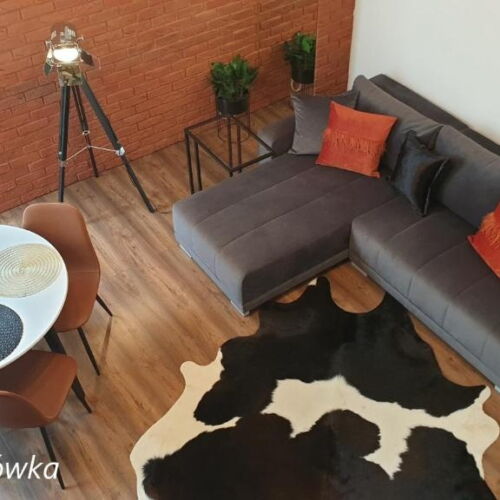 Apartament 4-osobowy z antresolą z 2 pomieszczeniami sypialnianymi (możliwa dostawka)