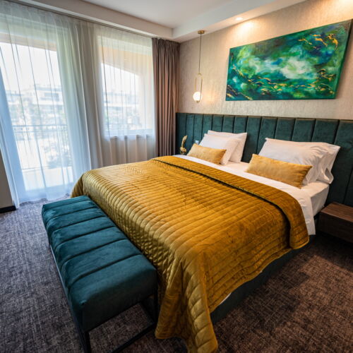 Deluxe Barrier Free Double Room (extra bed available)
