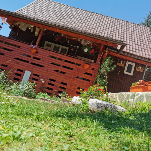 Forest View Family Weekend House for 10 Persons