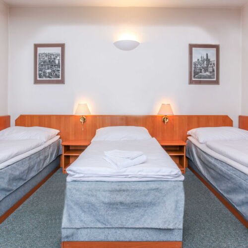 Standard  Pokoj pro 3 os.