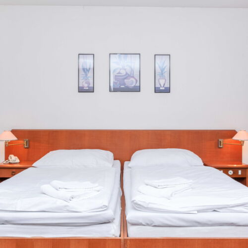 Standard  Pokoj s manželskou postelí