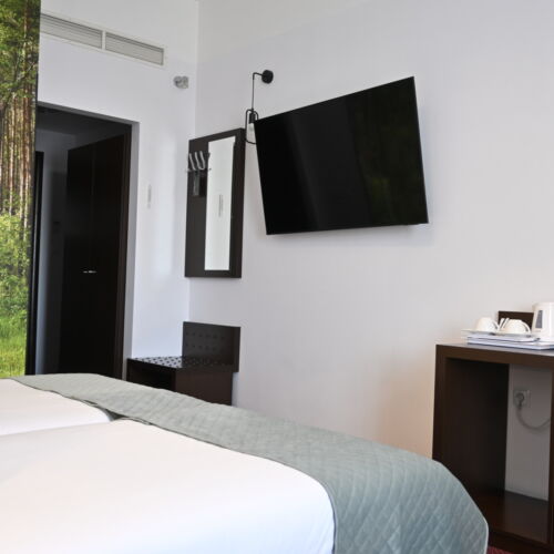 Camera twin standard cu baie