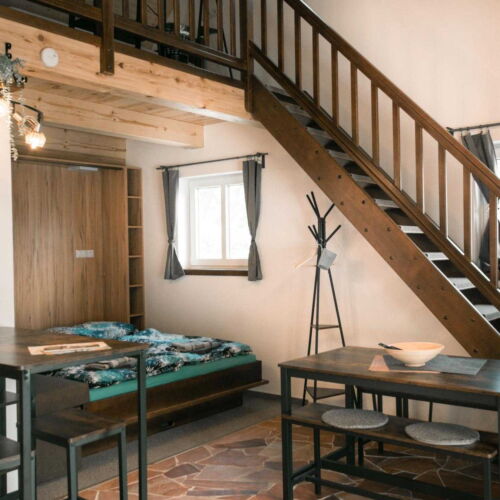 Apartament 3-osobowy z prysznicem z aneksem kuchennym (możliwa dostawka)