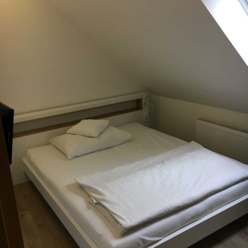 Economy Pokoj se sprchou pro 2 os.