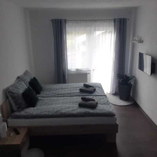 Deluxe 1-Zimmer-Apartment für 2 Personen mit Dusche (Zusatzbett möglich)