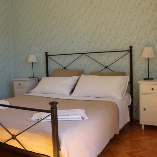 Camera dubla classic cu vedere spre grădină