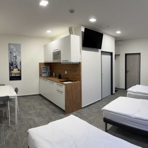 Camera tripla cu duș cu chicinetă proprie