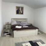 Mansard Premium 1-Room Apartment for 4 Persons