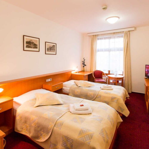 Economy Pokoj se sprchou pro 2 os.