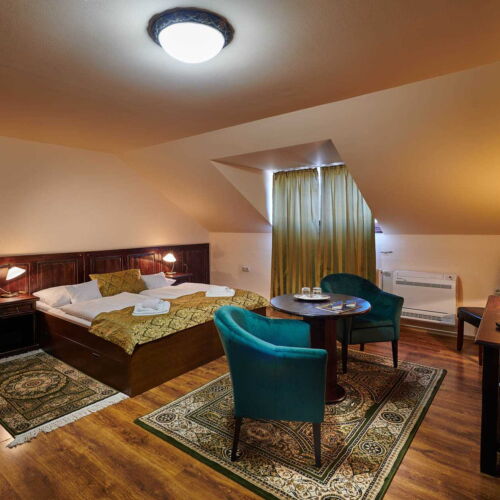 Camera twin confort cu aer condiționat (se poate solicita pat suplimentar)