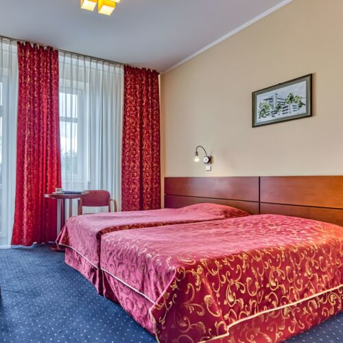 Economy Twin Room