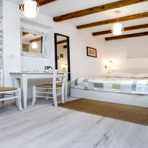 Apartament classic la parter cu 1 camera pentru 2 pers.