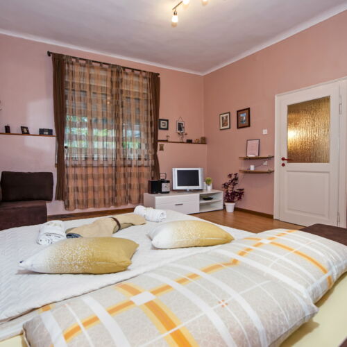 Apartament classic la parter cu 1 camera pentru 2 pers.