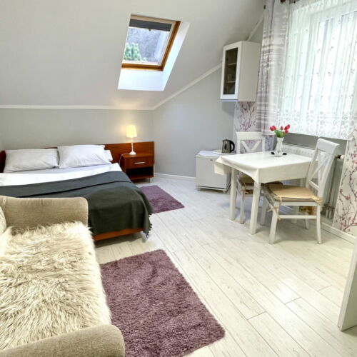 Camera dubla cu duș cu grădină