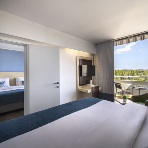 Suita s balkónem s manželskou postelí s 1 ložnicí s výhledem na park