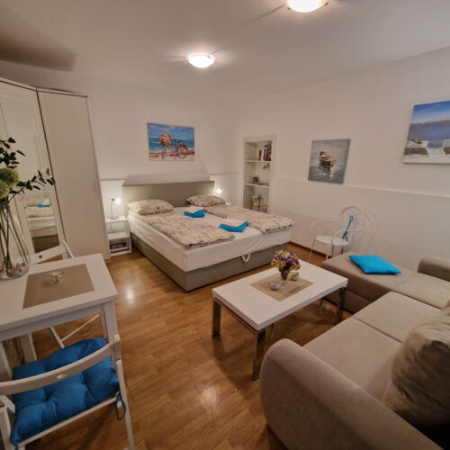 Apartament standard la parter cu 1 camera pentru 2 pers.